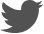 Twitter Logo